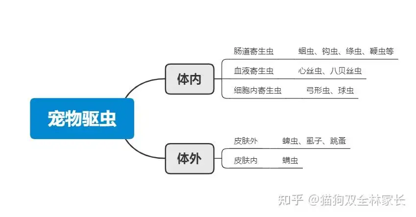 宠物狗驱虫方法(宠物狗驱虫方法有哪几种)