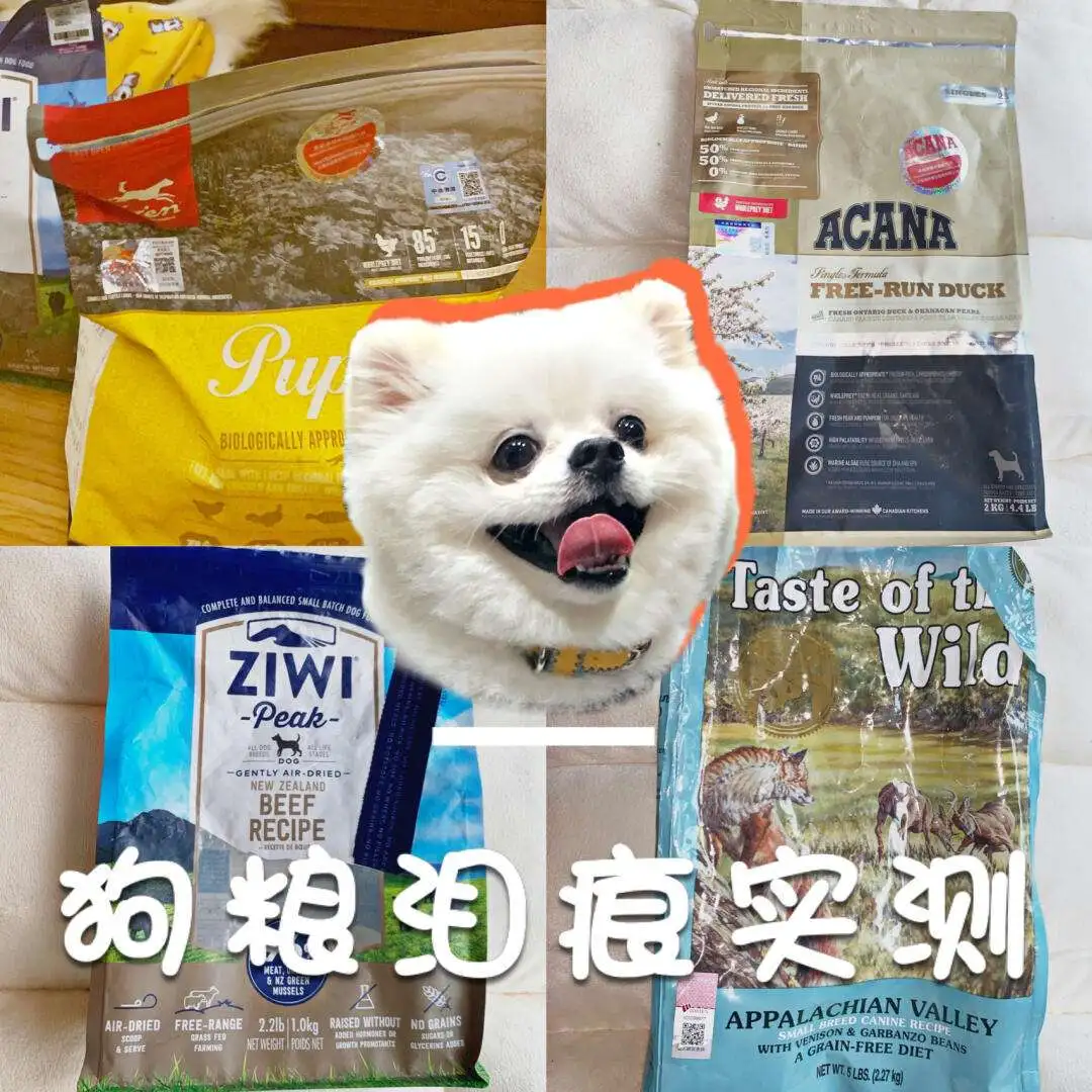 博美宠物狗吃什么狗粮(博美犬适合吃什么样的狗粮)