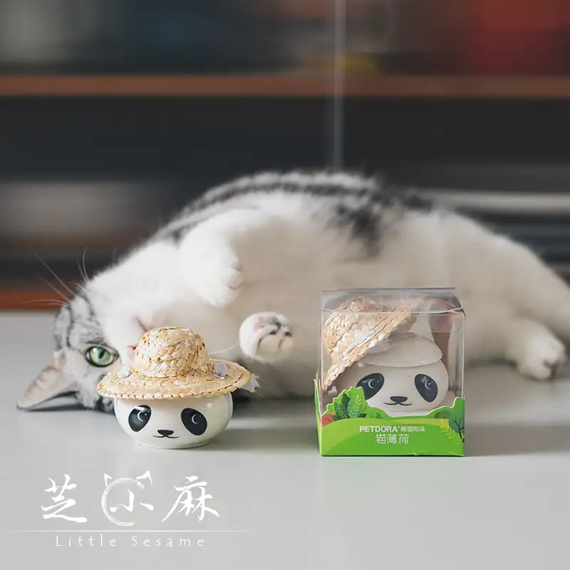 猫猫为什么喜欢猫薄荷(猫咪为啥那么喜欢猫薄荷)