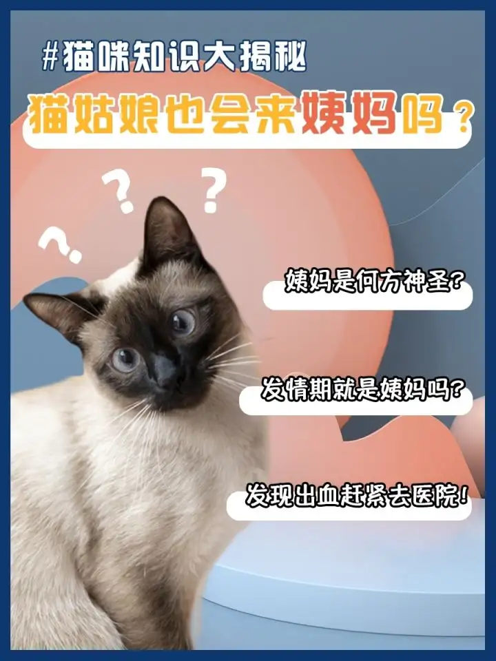 猫会来大姨妈嘛(猫会不会来大姨妈哦)