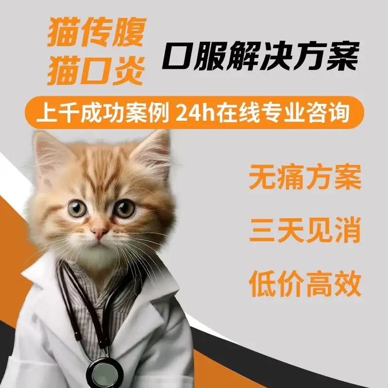 治疗猫传腹的办法(治疗猫传腹最有效的药)