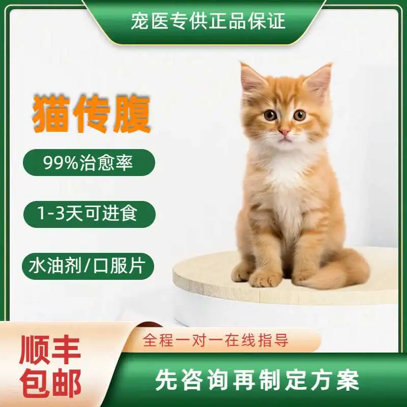 猫传腹有预防针吗(猫传腹可以预防吗?)