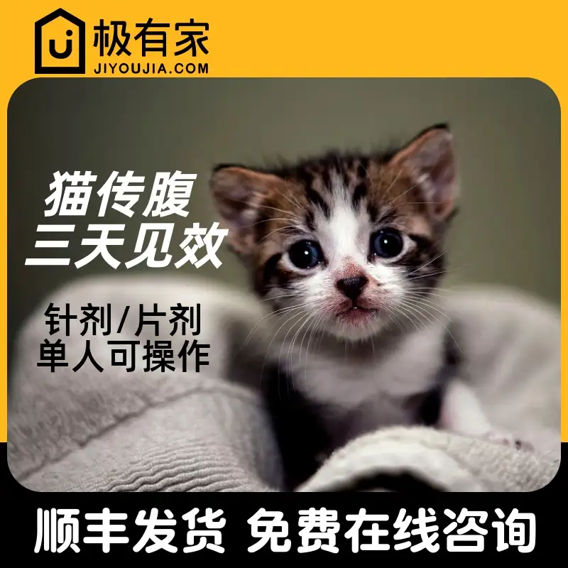 猫传腹怎么区分干性与湿性(猫干性传腹和湿性传腹哪个严重)