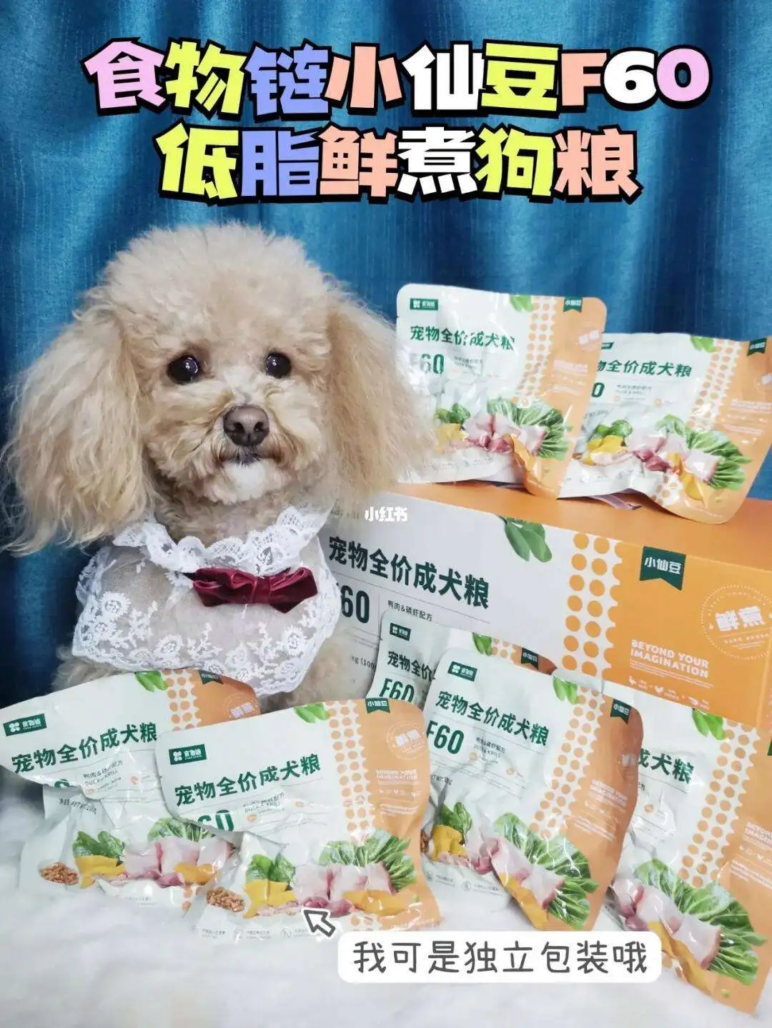 狗狗吃什么粮好(狗狗吃什么样的犬粮比较好?)