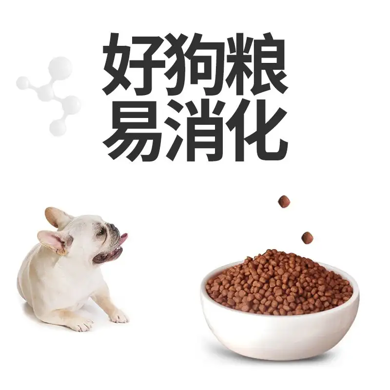 宠物狗除了狗粮还能吃什么主食(宠物狗除了吃狗粮还可以吃什么东西)