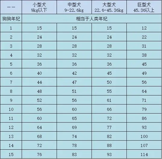 狗七年相当于多少岁(狗七年相当于多少岁数)