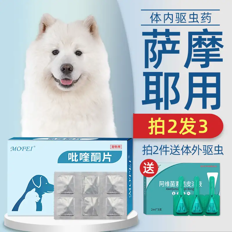 宠物犬怎么驱虫(宠物犬驱虫药用什么牌子)