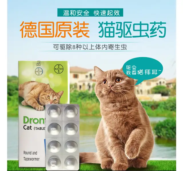 猫咪做体内驱虫(猫咪做体内驱虫还是体外驱虫)