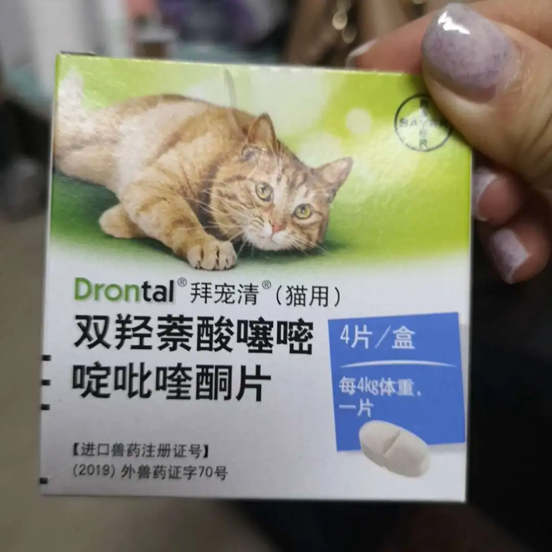 怎么给猫吃打虫药(怎么给猫吃打虫药视频)