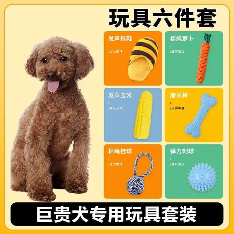 狗为什么可以当宠物犬(狗为什么可以当宠物犬养)