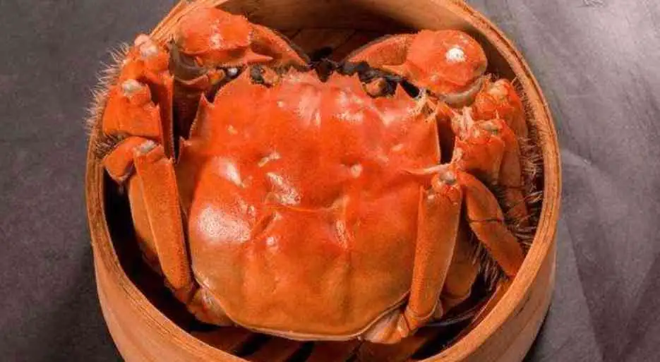 螃蟹吃的食物(螃蟹吃的食物叫什么)
