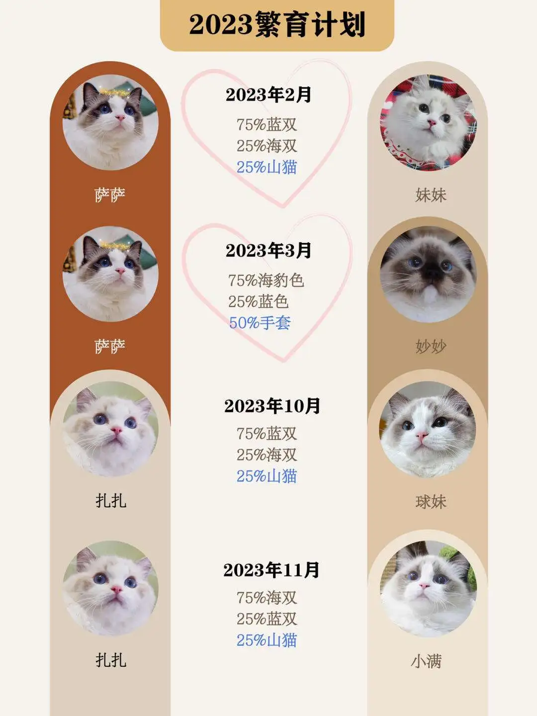 纯种布偶猫幼崽多少钱(纯种布偶猫幼崽多少钱一只)