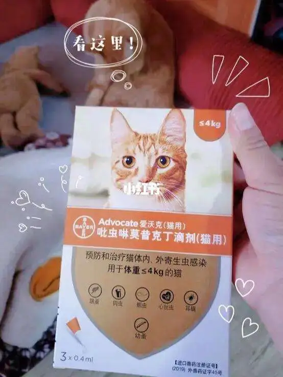 猫咪体内驱虫药怎么用量(猫咪体内驱虫一次要吃多少药)