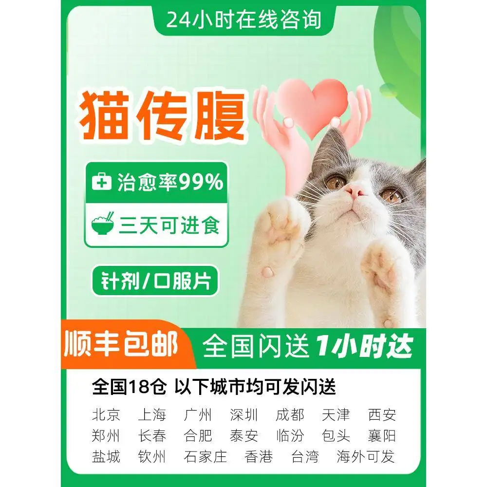 猫传腹得的几率大吗(猫传腹得病几率有多大?)