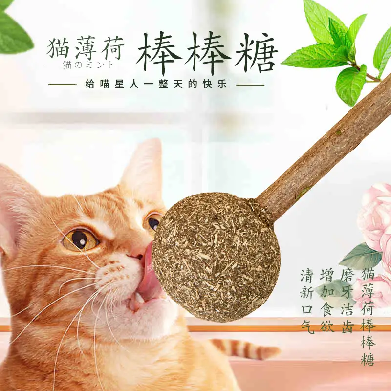 猫与猫薄荷(猫与猫薄荷味儿的鸟)