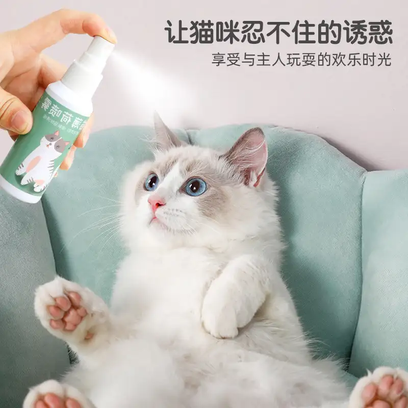 猫与猫薄荷(猫与猫薄荷味儿的鸟)