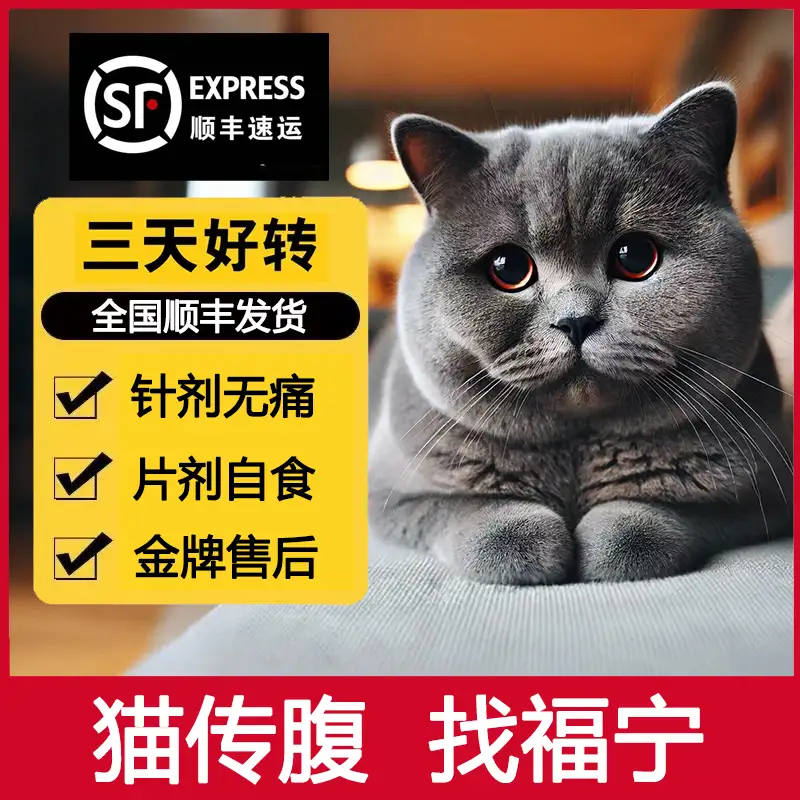 什么是猫咪干性传腹(猫咪得了干性传腹会自愈吗)