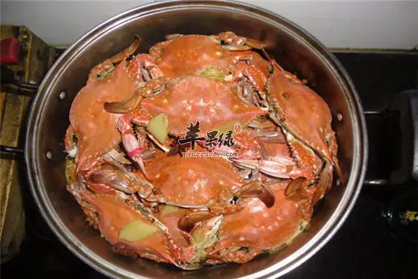 河蟹家养吃什么食物(河蟹家养吃什么食物好)