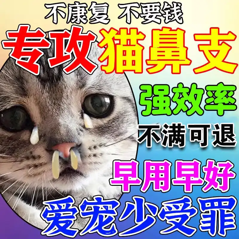 猫鼻支病毒能存活多久(猫鼻支病毒能残留多久?)