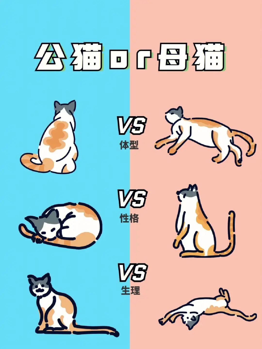 叫的是公猫还是母猫(一般是公猫叫还是母猫叫)