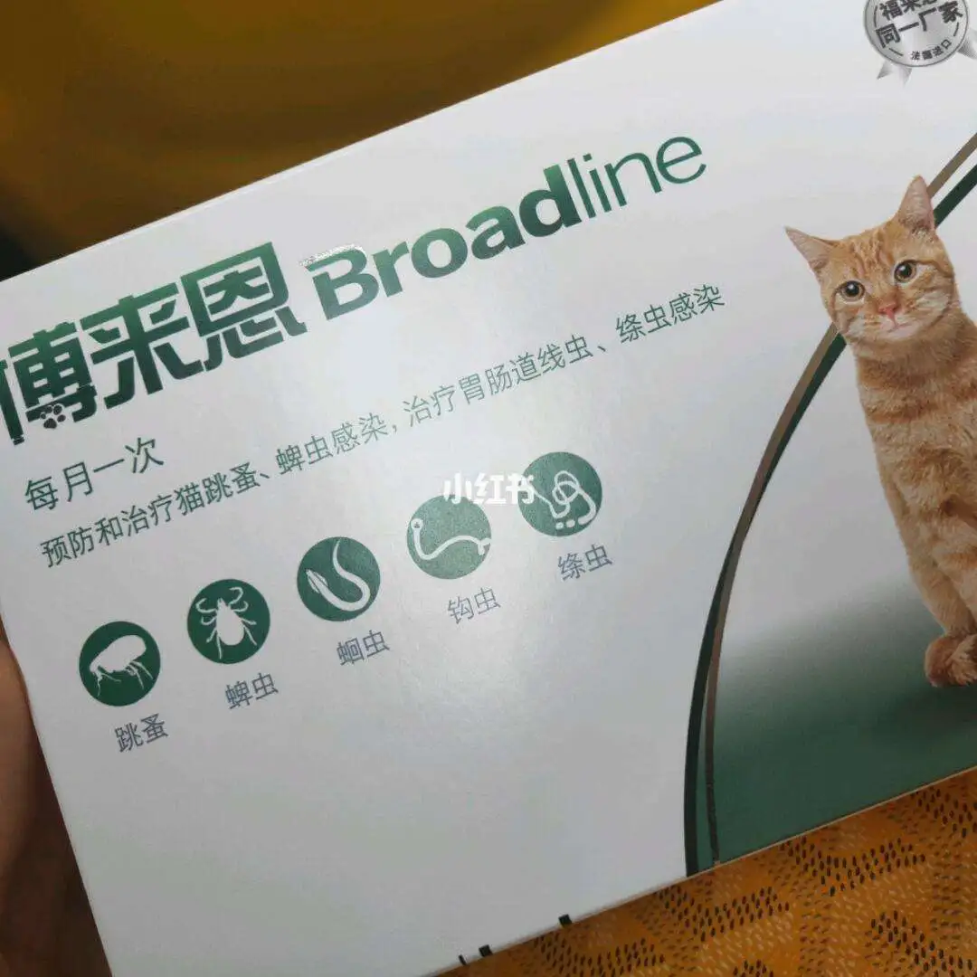 人驱虫药猫可以用吗(人体驱虫药可以给猫吃吗)