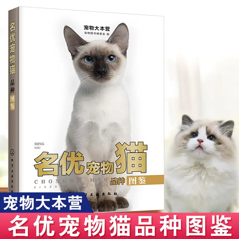 的宠物猫品种大全排行(十大最受欢迎的宠物猫种类排行榜!)