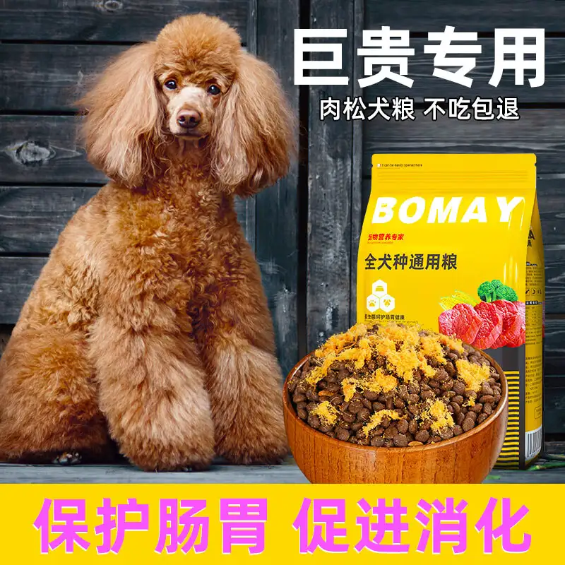 巨型泰迪贵宾犬多少钱一只(巨型泰迪和巨型贵宾是一种吗)