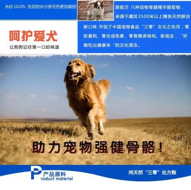 萨摩耶幼犬狗粮吃什么(萨摩耶不吃狗粮可以吃饭么)