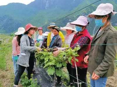 狗狗怀孕几个月下崽子(狗狗怀孕几个月下崽儿啊)