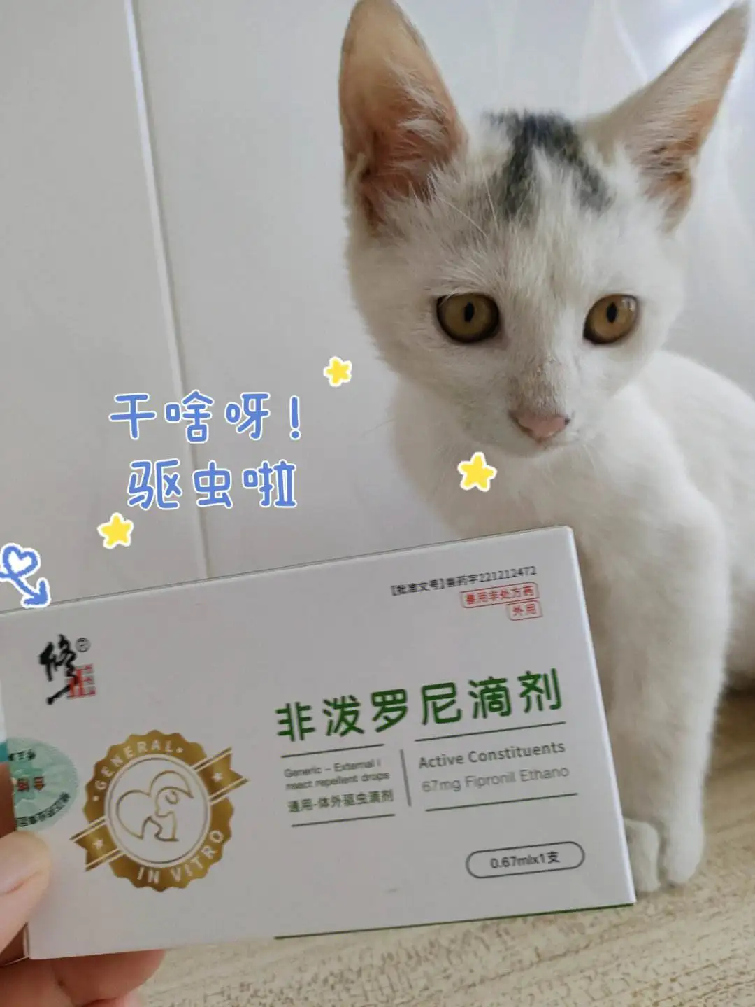 小猫驱虫吃什么药(小猫驱虫吃什么药最好)