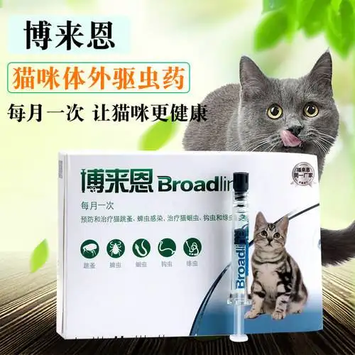 猫除虫的药(猫除虫药推荐)