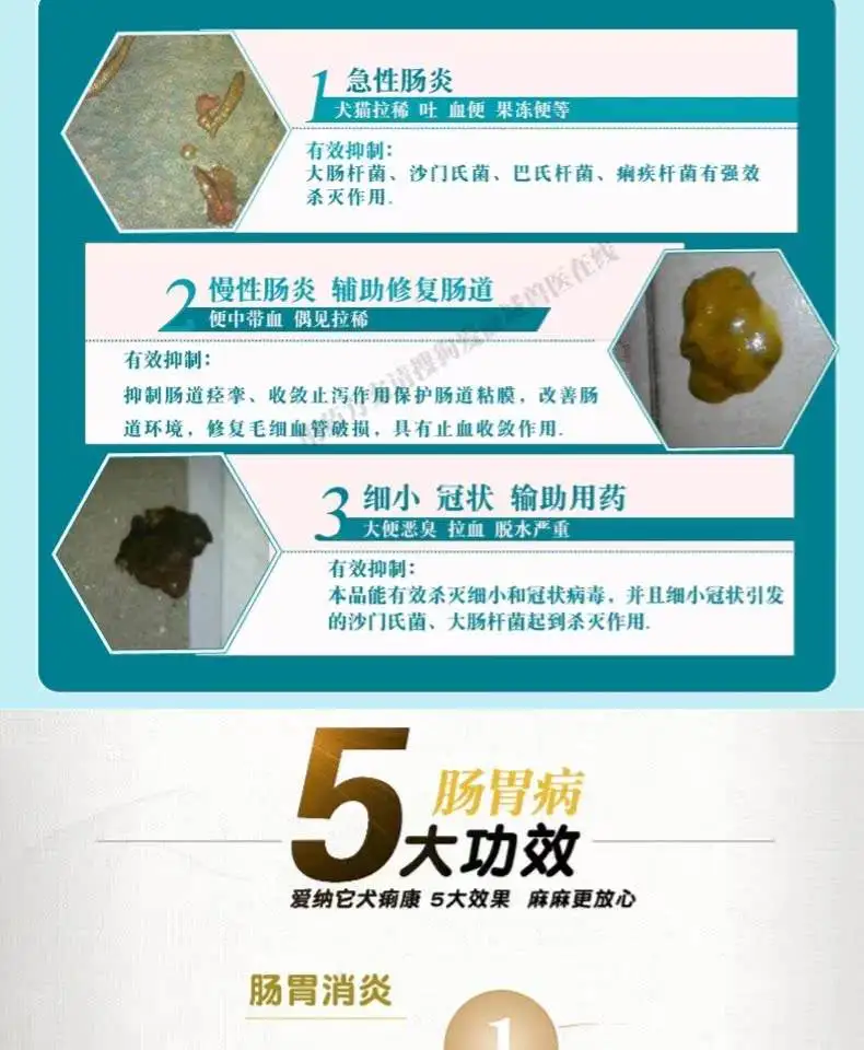 狗发烧拉肚子用什么药(狗发烧拉肚子用什么药好)