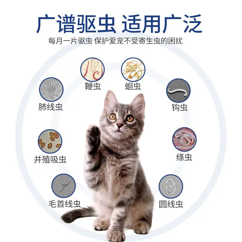 猫体内驱虫(猫体内驱虫多久一次合适)