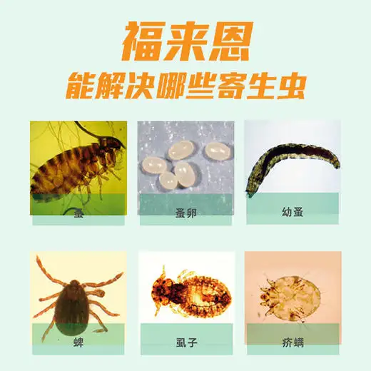 疥虫在物品上能存活多久(疥虫在物品上能存活多久呢)