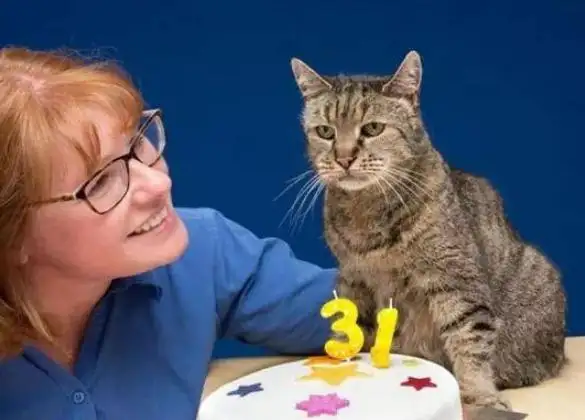 猫最长的寿命(猫平均寿命多少年?)