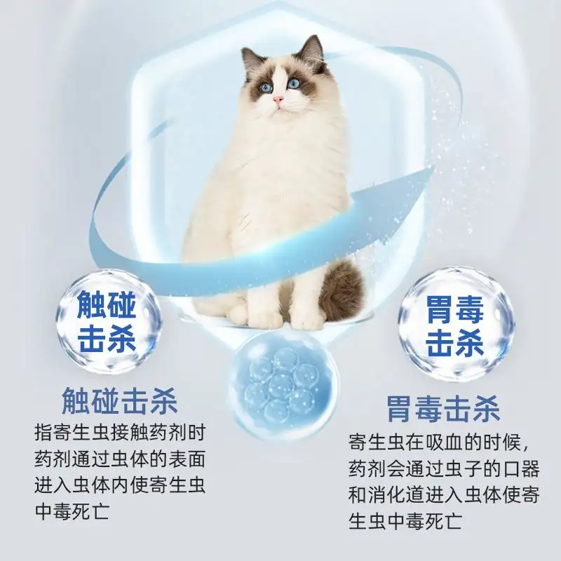 猫吃了驱虫药(猫吃了驱虫药嘴里有白沫)