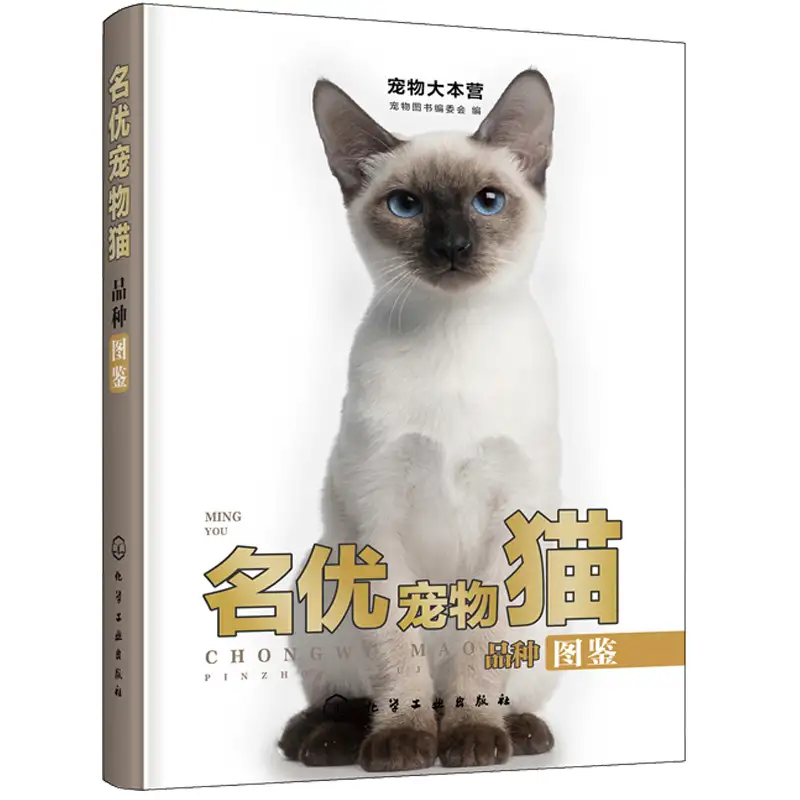 猫咪的寿命多长(猫猫的寿命是多长)