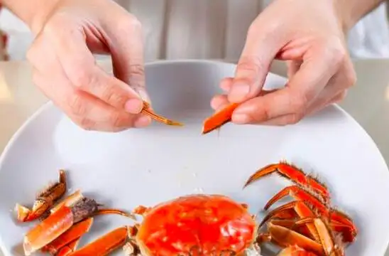 螃蟹喂多少食物(螃蟹喂多少食物最好)