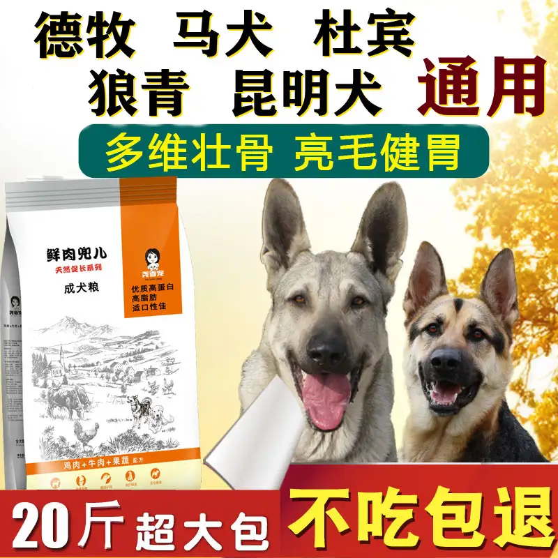 马犬幼犬吃什么狗粮(马犬幼犬112个月变化图)