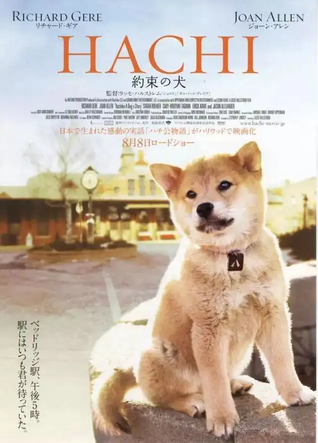 忠犬八公的原型更惨(忠犬八公结局什么意思)