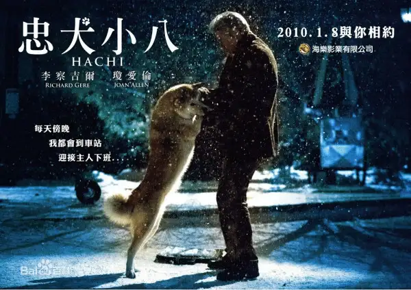 忠犬八公的原型更惨(忠犬八公结局什么意思)