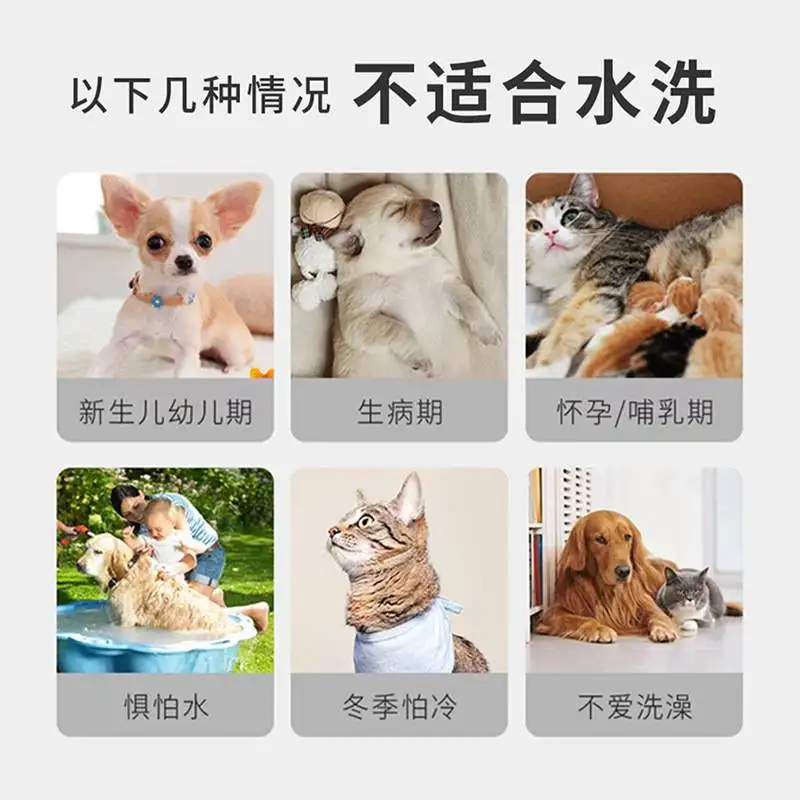 猫咪怀孕洗澡(猫咪怀孕洗澡了)