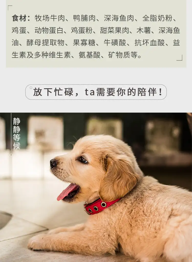 萨摩耶幼犬吃什么狗粮(萨摩耶幼犬一次喂多少狗粮)