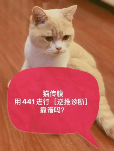 猫传腹打了441(猫传腹打了441三个月了还是没好)