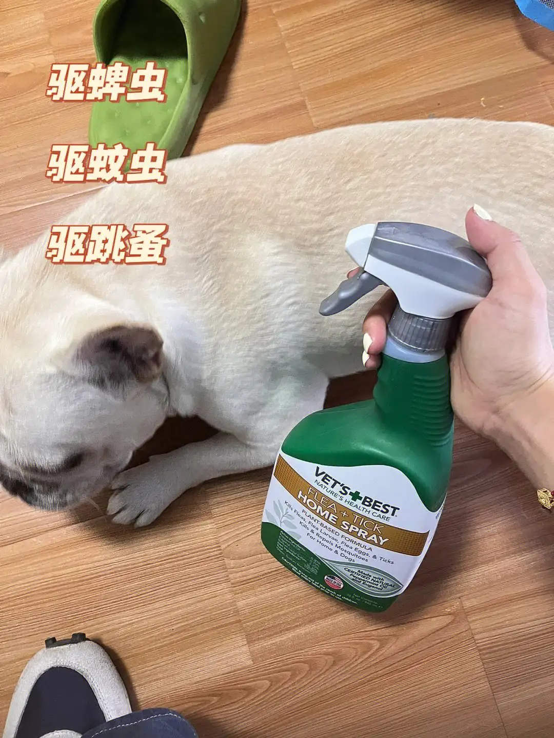 宠物咋驱虫(宠物犬如何驱虫)