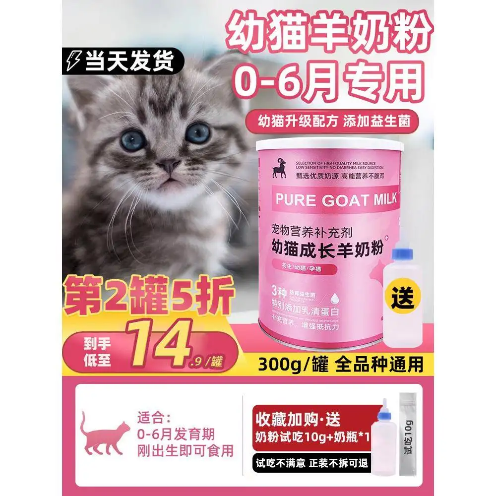 宠物猫价格及图片(宠物猫价格及图片大全)