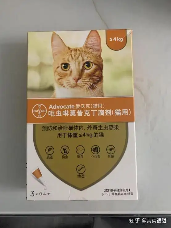 小猫用什么驱虫药效果最好(小猫用什么驱虫药效果最好呢)