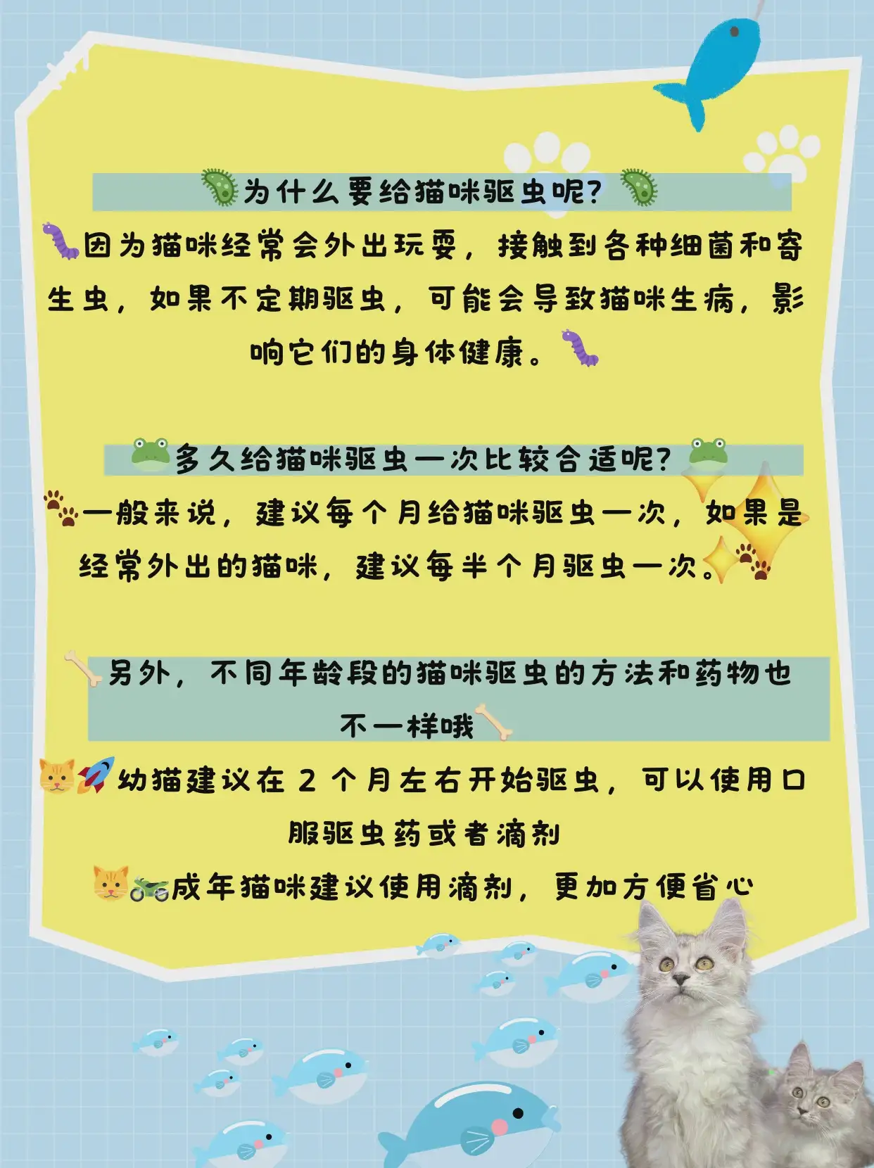 猫咪一般几个月驱虫(猫咪一般几个月驱虫比较好)