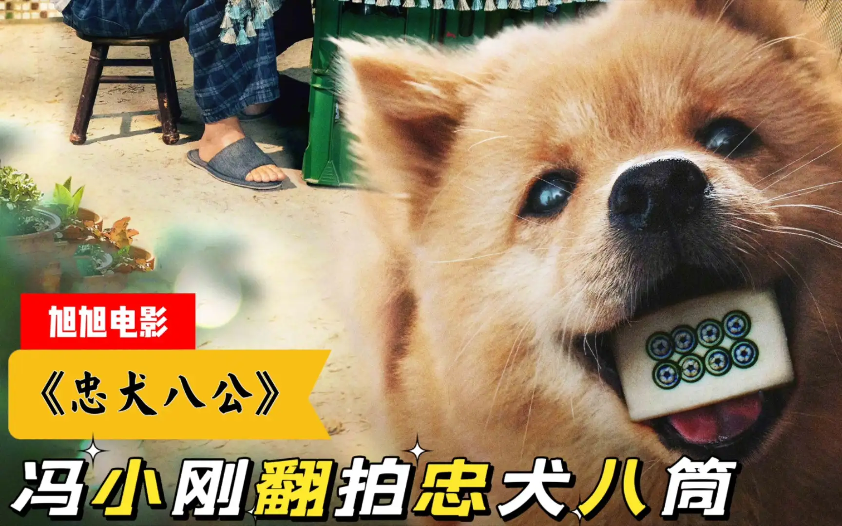 国产版忠犬八公(国产版忠犬八公影评)