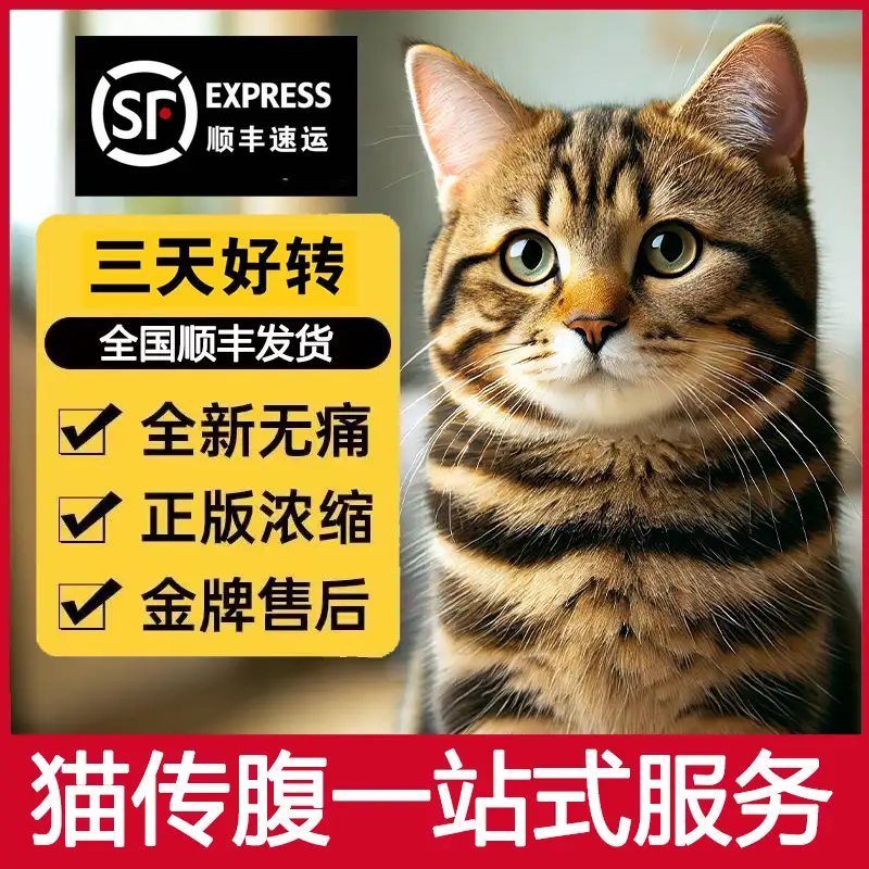 被猫传腹的猫抓伤了(被猫传腹的猫抓伤了要打狂犬吗)